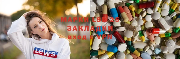 шишки Саяногорск