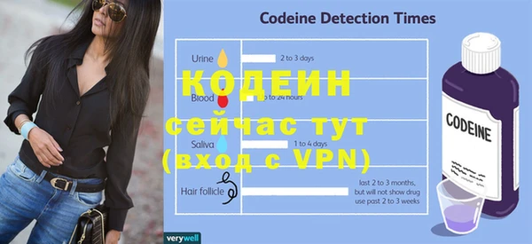 стаф Губаха