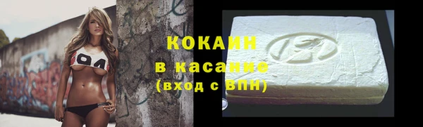 крисы Абаза