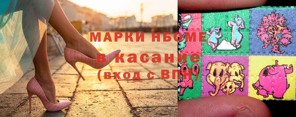 крисы Абаза