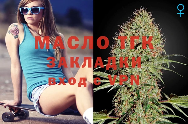 шишки Саяногорск