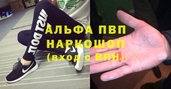шишки Саяногорск