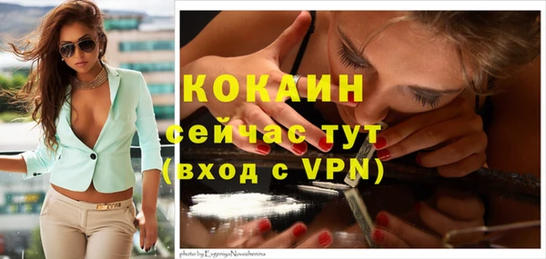 крисы Абаза