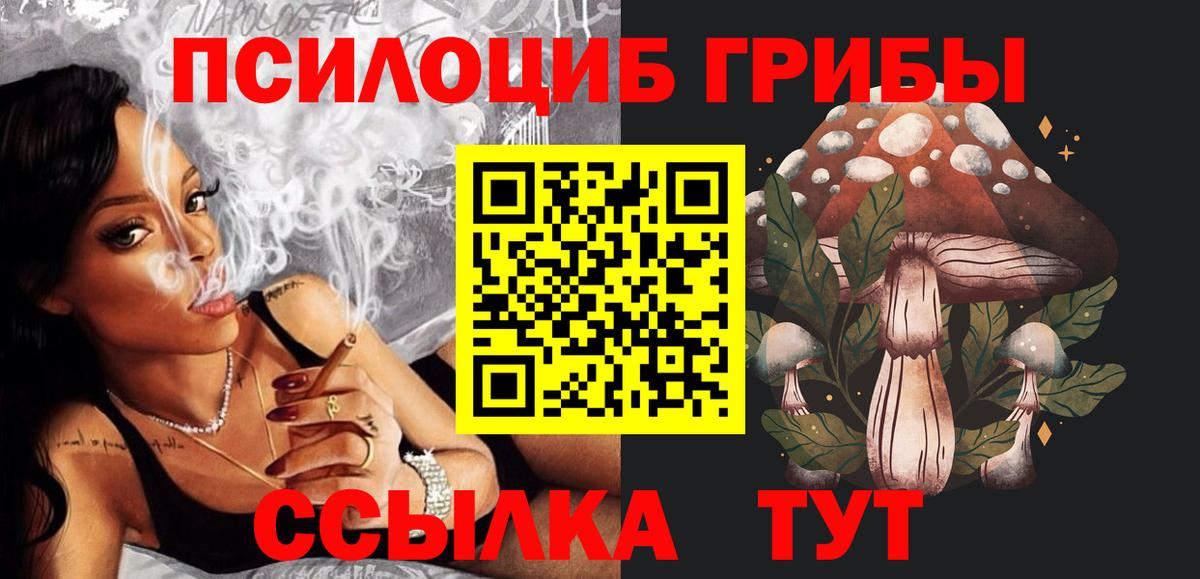 Галлюциногенные грибы Cubensis Отрадное