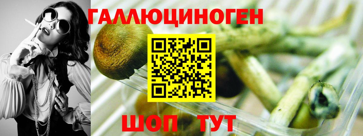 Псилоцибиновые грибы MAGIC MUSHROOMS  Вход с VPN  Отрадное 